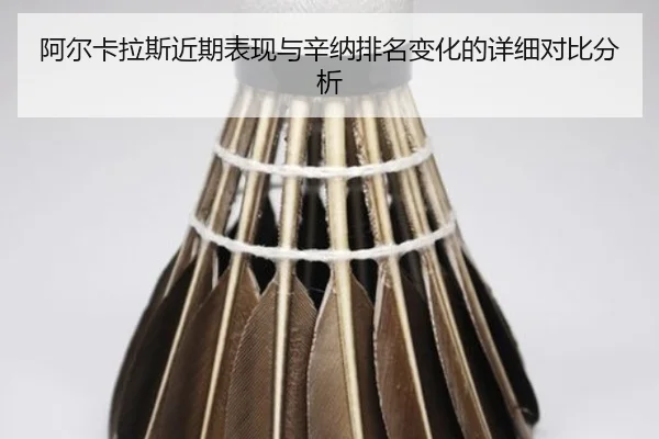 a-er-ka-la-si-jin-qi-biao-xian-yu-xin-na-pai-ming-bian-hua-de-xiang-xi-dui-bi-fen-xi-2-316.jpg